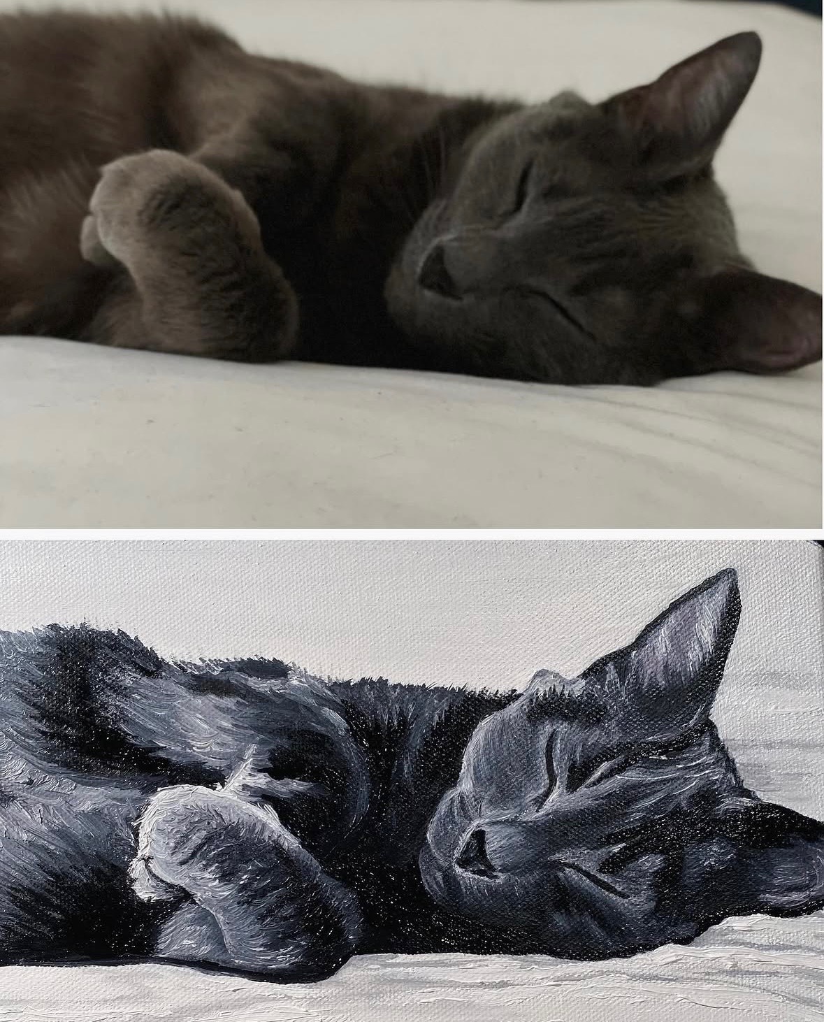 Sleeping Cat — oil painting commission by Breanna Malone